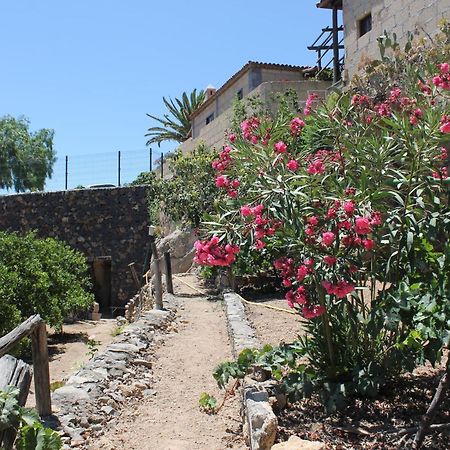 Casa Rural Anton Piche With Pool-Adults Only Granadilla De Abona Exteriér fotografie