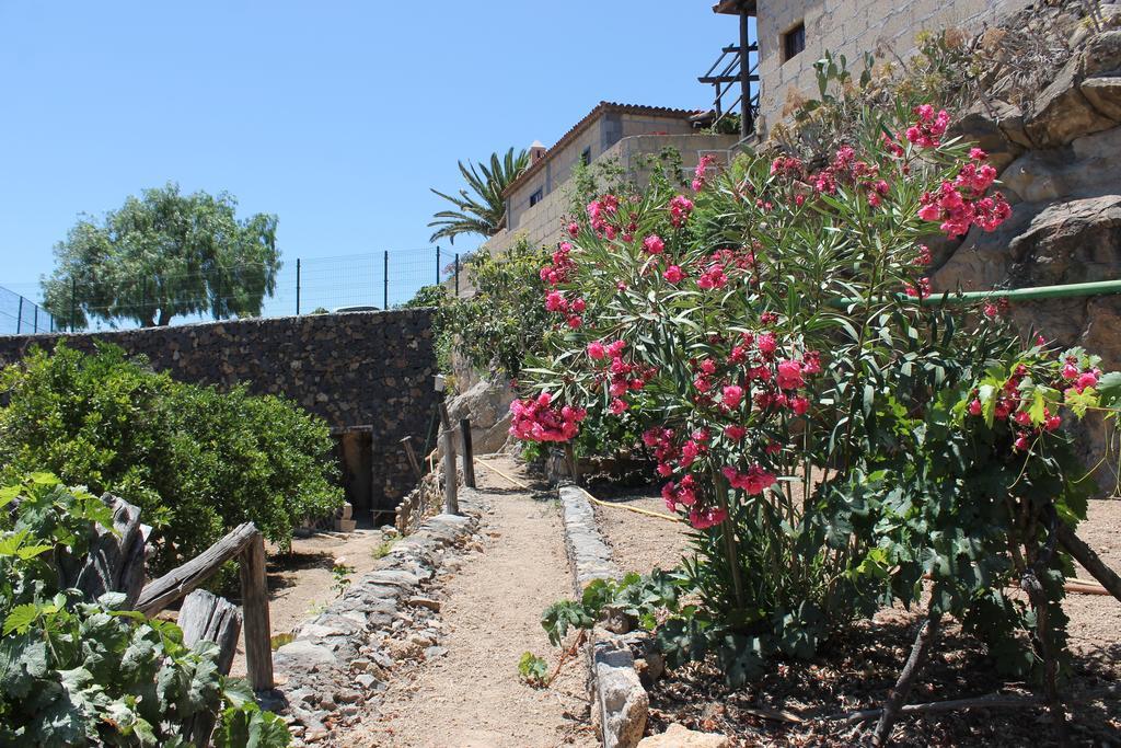 Casa Rural Anton Piche With Pool-Adults Only Granadilla De Abona Exteriér fotografie